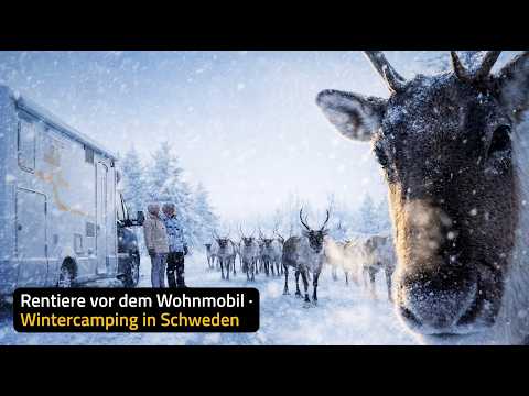 Schweden im Winter 2025/2026