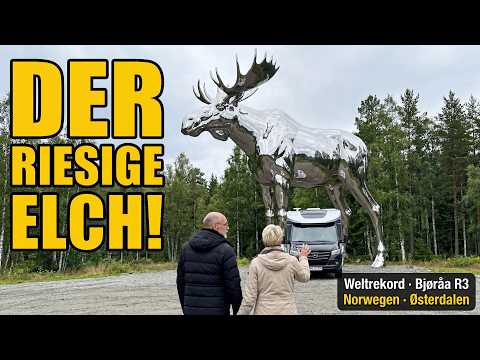 Der größte Elch der Welt – Pflichtbesuch auf der R3