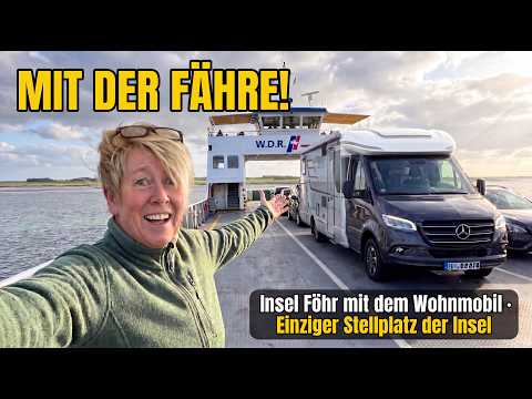 Campen mit Schafen – Mitten im Watt